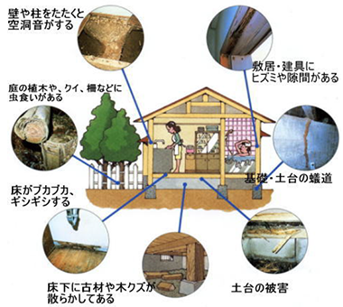シロアリ・害虫駆除